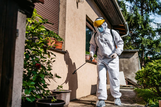 Best Residential Pest Control  in Salem, VA