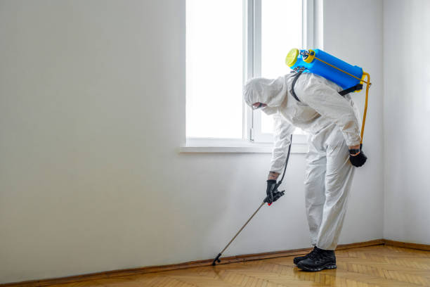 Best Exterminator Services  in Salem, VA