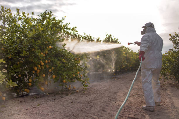 Best Commercial Pest Control Services  in Salem, VA