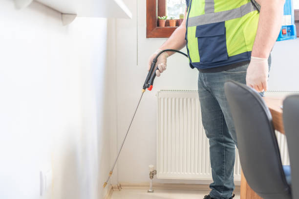 Best Wasp Removal Services  in Salem, VA