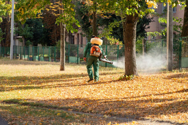 Best Cockroach Control Services  in Salem, VA
